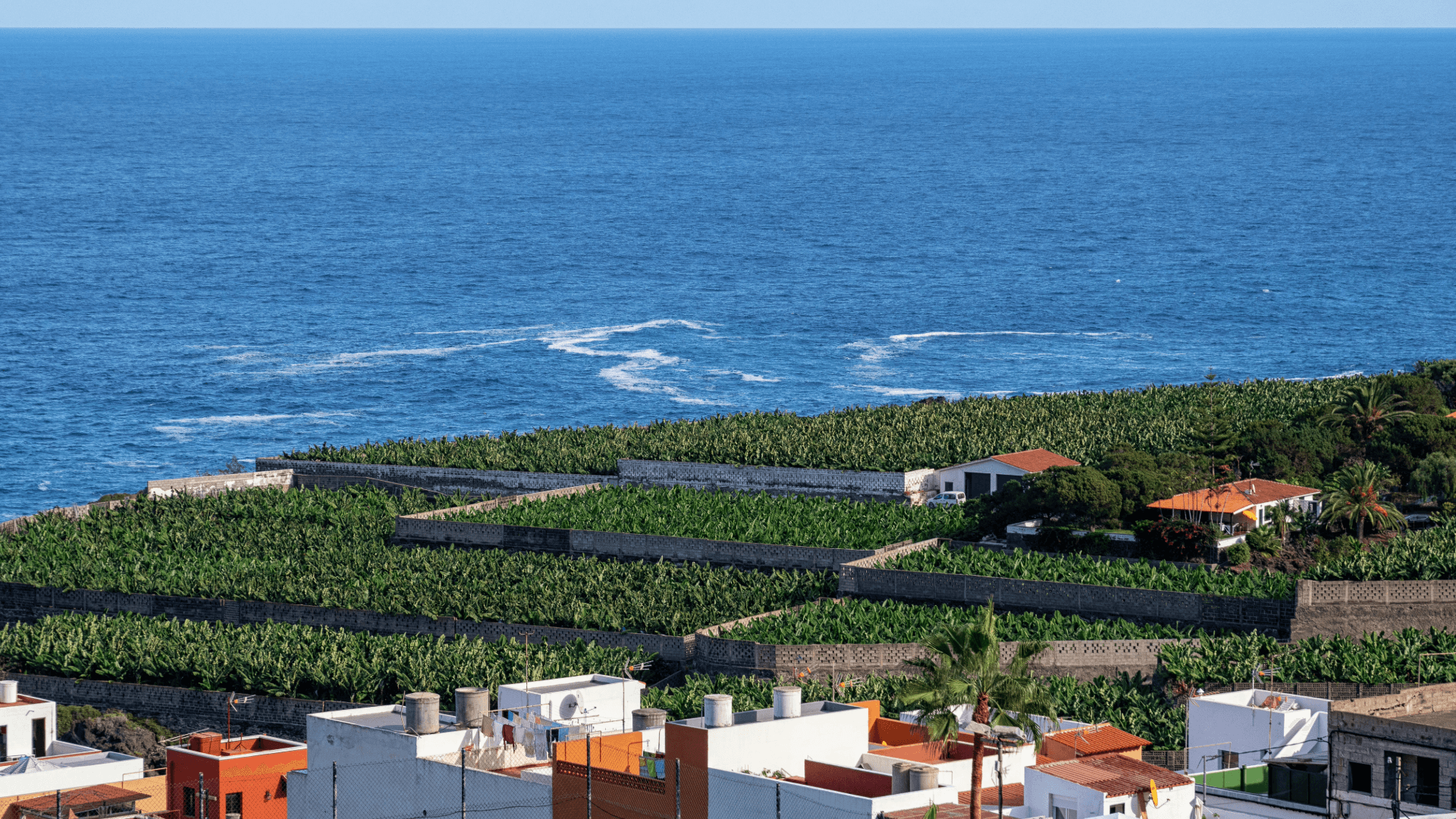 Negocjacje po audycie: jak użyć raportu, aby obniżyć cenę zakupu
