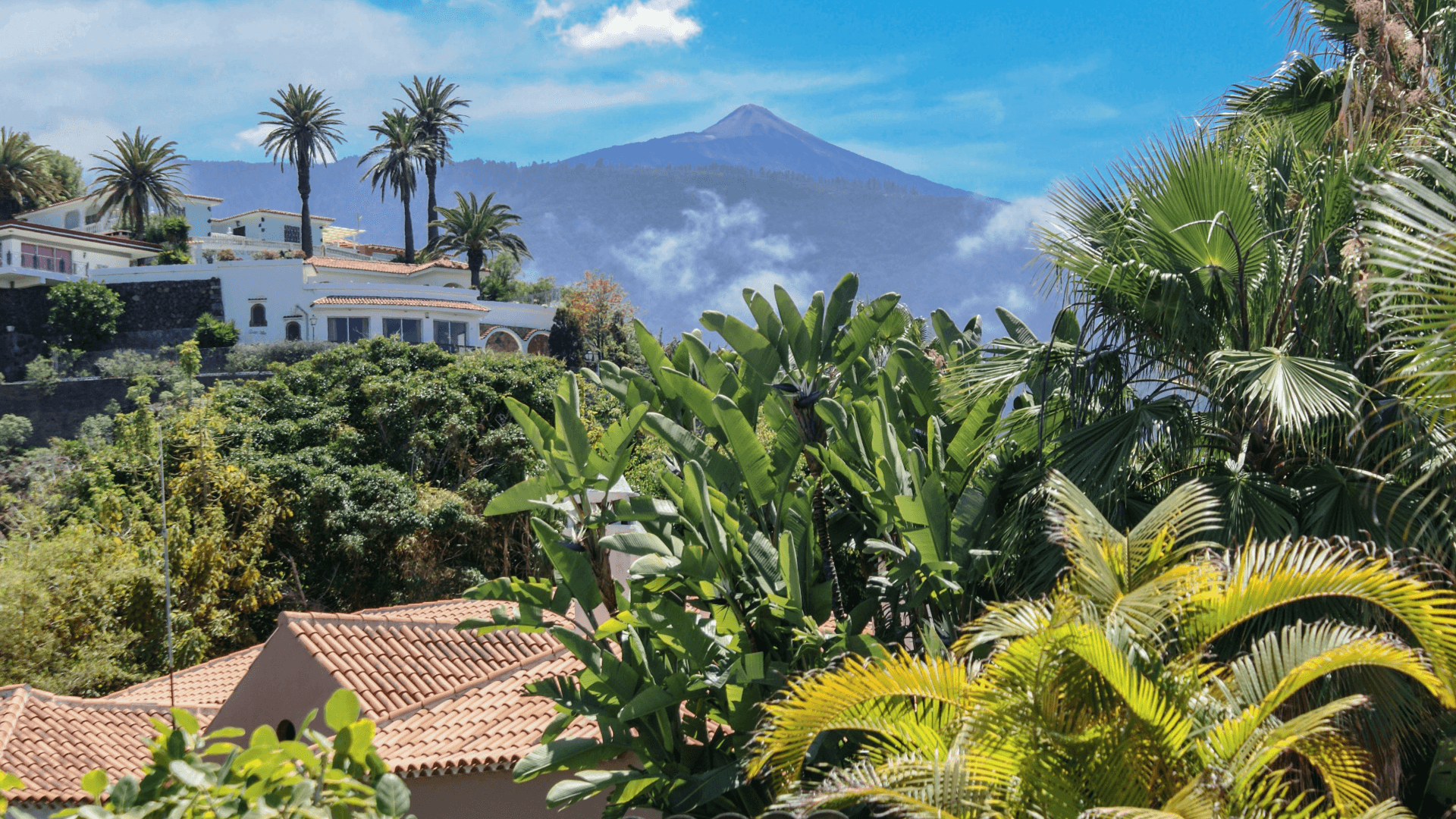 Pierwszy audyt nieruchomości na Teneryfie