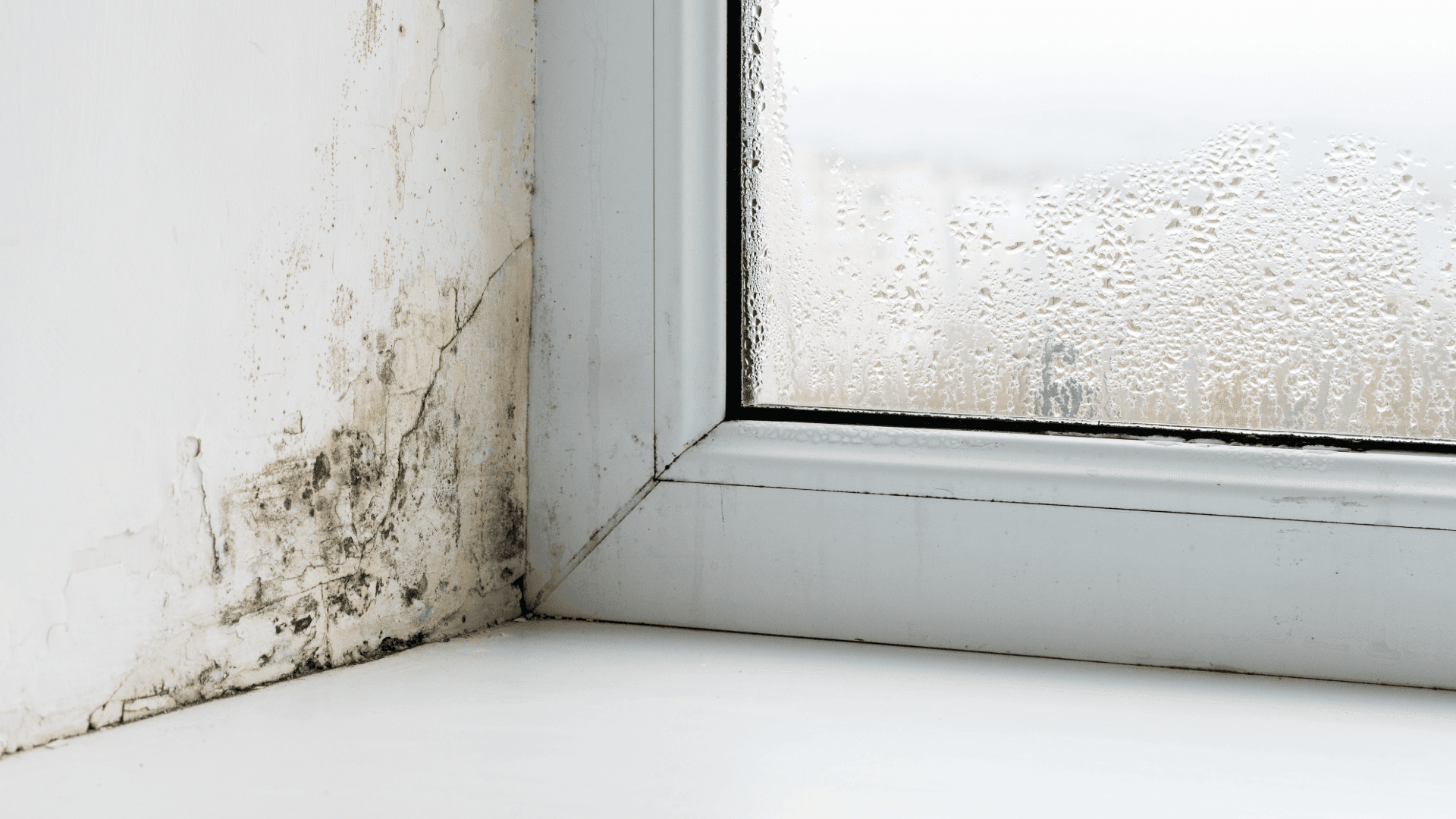 Wilgoć i pleśń na Teneryfie: jak wykryć ryzyko podczas audytu (checklista)